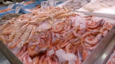 Large selection of fresh, chilled seafood on the shelves with ice in the market Stock-Footage 104086755