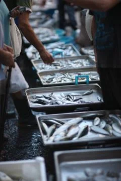 Large selection of fresh fish in boxes in the fish market Stock Photos