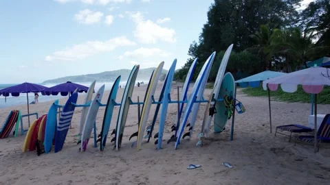 Large selection of surfboards on the beach Video stock 245840730