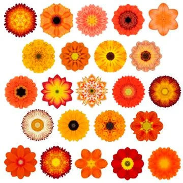 Large Selection of Various Concentric Mandala Flowers Isolated on White Stock-Fotos