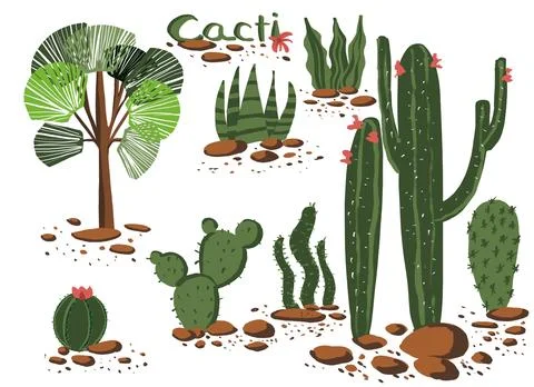 A large set with cacti . digital illustration . 9 elements. Stock Illustration