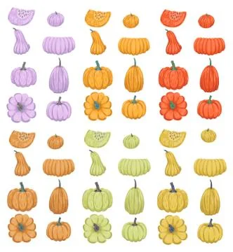 Large set of colorful pumpkins of different sizes. Autumn set of vegetables. Stock Illustration