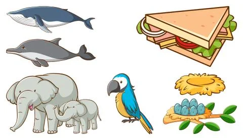 Large set of different animals and other objects on white background Stock Illustration