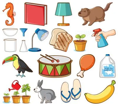 Large set of different animals and other objects on white background Stock Illustration