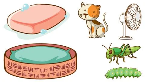 Large set of different animals and other objects on white background Stock Illustration