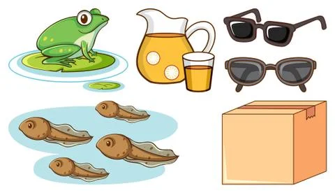 Large set of different animals and other objects on white background Stock Illustration