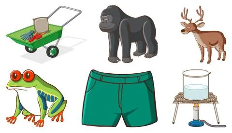 Large set of different animals and other objects on white background Stock Illustration
