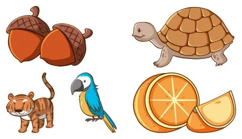 Large set of different animals and other objects on white background Stock Illustration