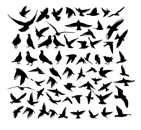 A large set of flying and standing birds. Vector illustration Stock Illustration