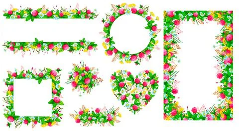 Large set of frames and designs from watercolor wildflowers and wild herbs. Stock Illustration