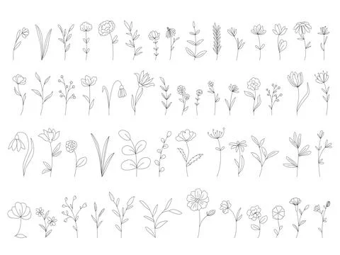 Large set of hand drawn wildflowers and herbs Stock Illustration