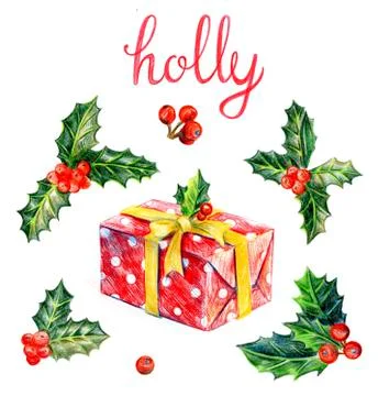 A large set of holly. Stock Illustration
