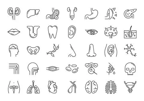 Large set of linear vector icons of human organs. Illustrazione stock