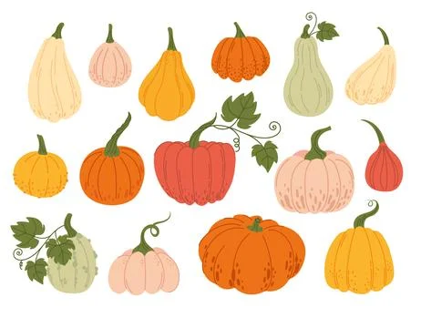 Large set with pumpkins Stock Illustration