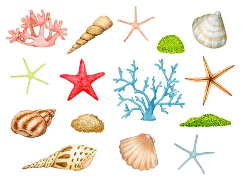 Large set of sea, ocean, aquarium, marine watercolor elements. Stock Illustration