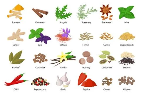 Large set of spices vector illustrations in flat design isolated on white bac Illustrazione stock