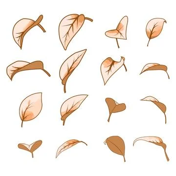 A large set of stylized autumn leaves in a flat vector style. Illustrazione stock