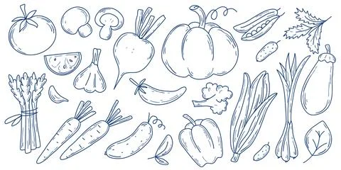 Large set of vegetables in doodle sketch style Stock Illustration