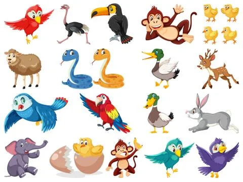 Large set of wild animals on white background 스톡 일러스트