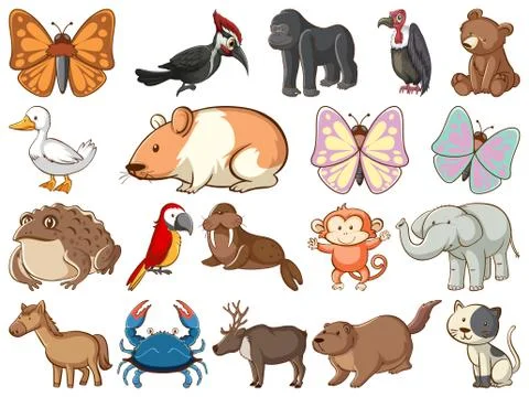Large set of wildlife with many types of animals and insects 스톡 일러스트