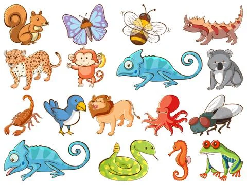Large set of wildlife with many types of animals イラスト素材