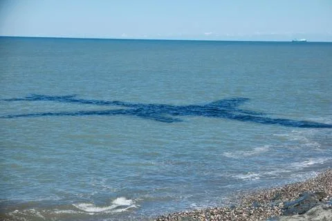 Large Shadow of Flying Airplane Cast on Turquoise Sea Water Surface near Coast Stock Photos