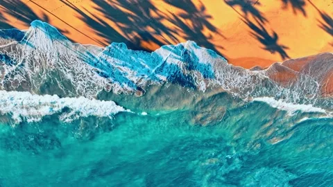 Large shadows of palm trees on a sandy beach, view from above. Stock Footage 284058423