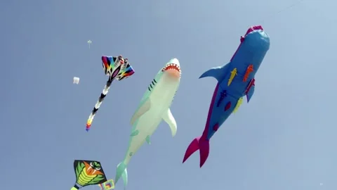 Large shark shaped inflatable kites flying in sky at outdoor festival Stock Footage 333180744