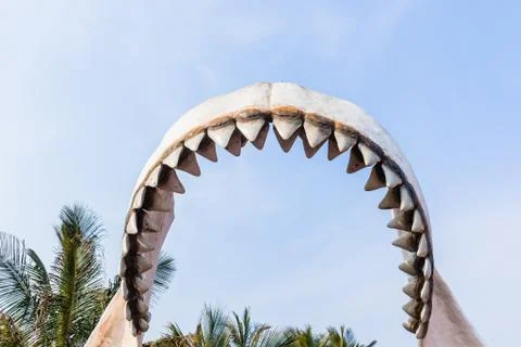 Large Shark Teeth Model Statue  Outdoors Stock Photos