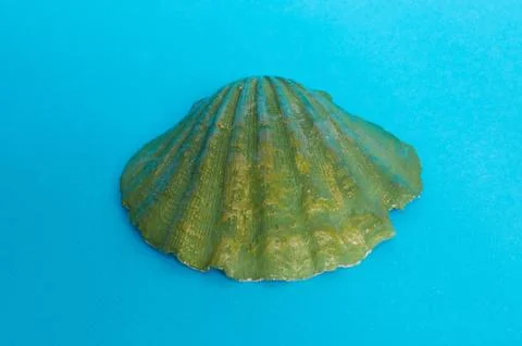 A large shell painted green on a blue background. Stock Photos