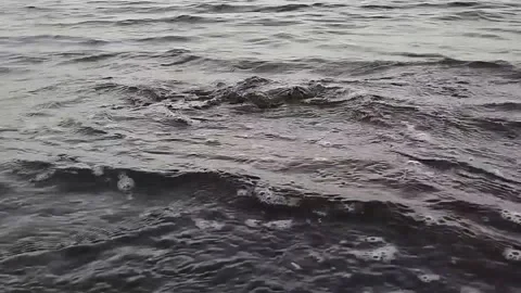 Large shells hit by sea waves Stock Footage 225199918