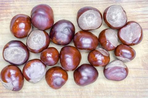 Large shiny brown chestnut kernels on wooden surface close up. Selective focu Stock Photos