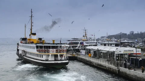 A large ship and a flock of gulls at the pier with people Video stock 63060869