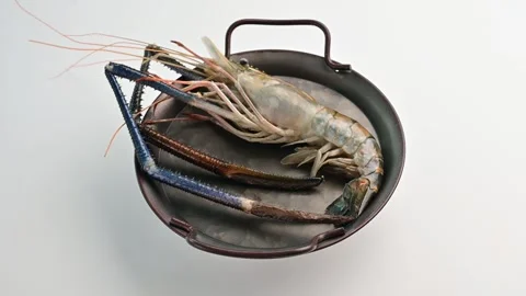Large shrimp and crab prepared for a seafood dish in a metal serving tray at a Stock Footage 305230550