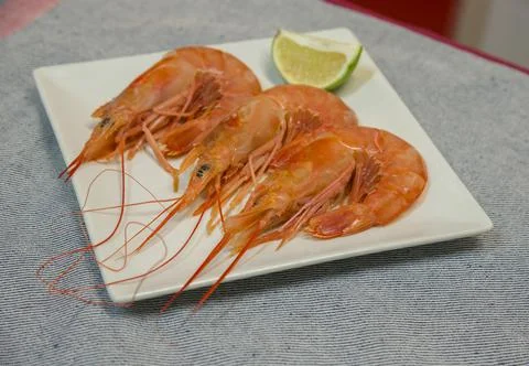 Large shrimp on a plate with a slice of lime Stock Photos