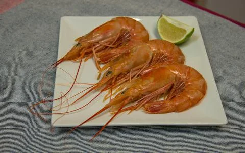 Large shrimp on a plate with a slice of lime Stock Photos