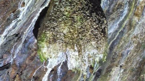 Large Silicate Stalactites, Algar Do Carvao Volcano Cave, Terceira, Portugal Stock Footage 89118223
