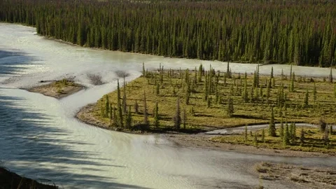 A large silty mountain river flowing through a forest of spruce  Stock Footage 139285579