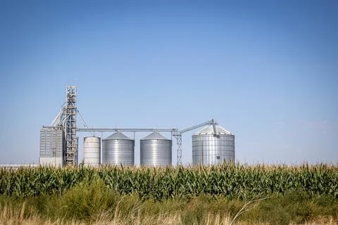 Large Silver Grain Processing Silos at a Farm Foto stock