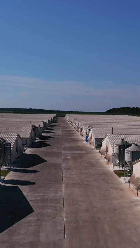 Large silver granary. Modern grain elevators Stock Footage 309981365