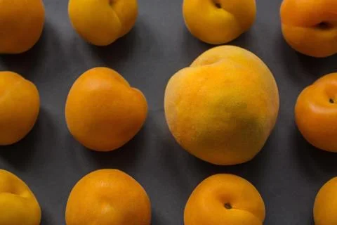 Large size. Stock Photos