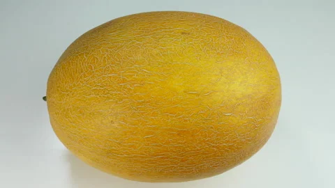 Large slice of watermelon Stock Footage 234220436