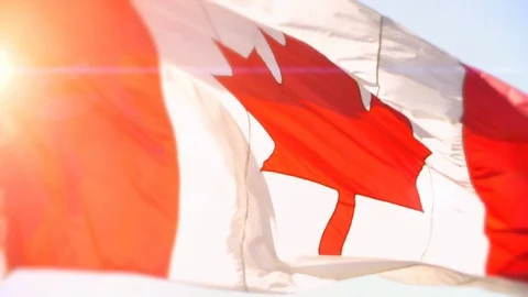 Large Slow Motion Canadian Flag Background, National Maple Leaf Red and White Stock Footage 87698995