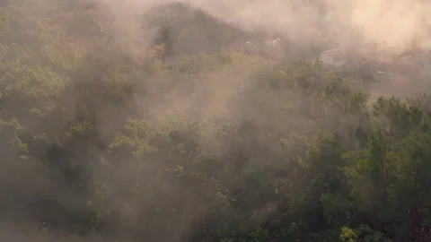 Large smoke clouds and fire spread. Dry grass burning. Climate change, ecology Stock Footage 144327674