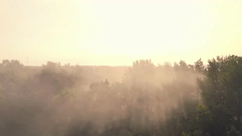 Large smoke clouds and fire spread. Dry grass burning. Climate change, ecology Stock Footage 144327749