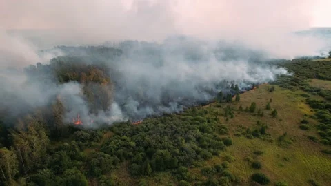  Large smoke clouds and fire. Forest and tropical jungle deforestation.  Stock Footage 160323666