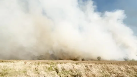 Large smoke clouds and fire spread. Dry grass burning. Climate change, ecology Stock Footage 292764612
