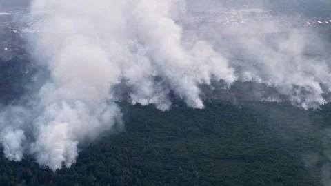 Large smoke clouds rise from burning forest 動画素材 333050973