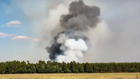 Large Smoke Plume Rising From Forest Wildfire Stock Footage 337719292