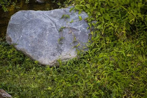 Large Smooth Grey Boulder Sitting on Fresh Green Grass Lawn by River Edge C.. Stock Photos